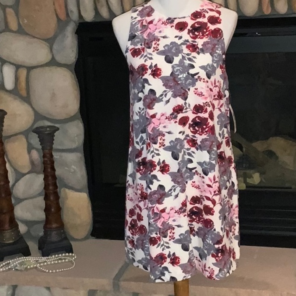 Kenzie Sleeveless Sheath Dress